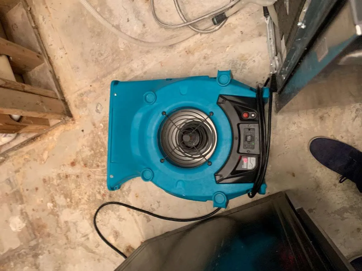 Air mover drying equipment for Mold Remediation & Removal in Vinton